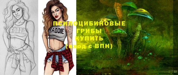 spice Балахна